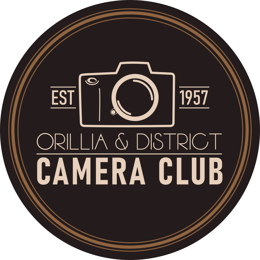Orillia and District Camera Club logo