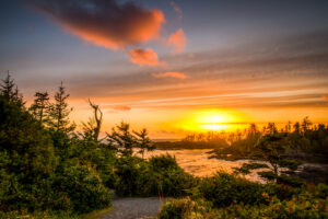 landscape photo at sunset with a waves rolling into a small bay surrounded by evergreen trees by photographer Eric Drumm