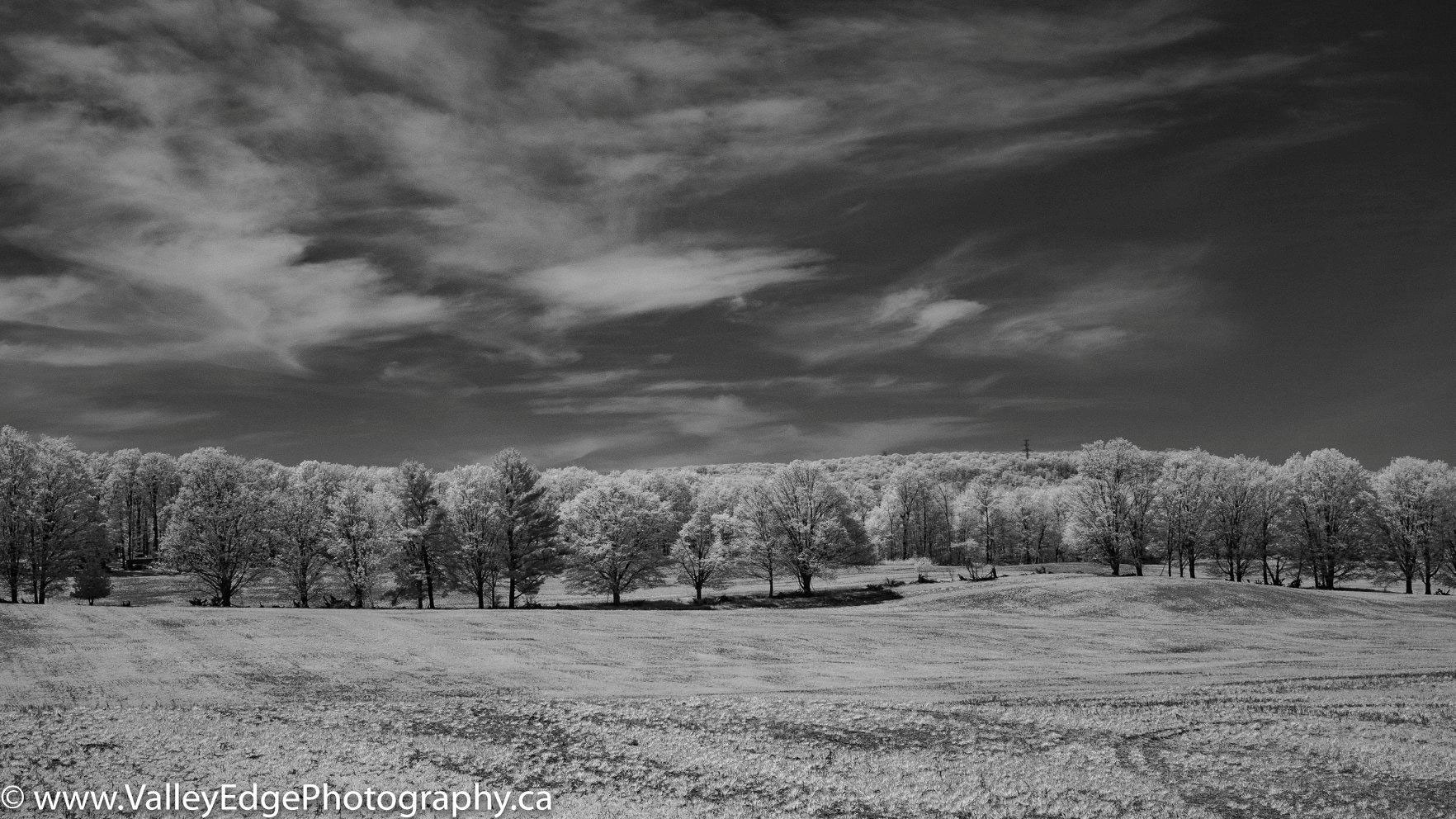 infrared landscape by David Kennedy