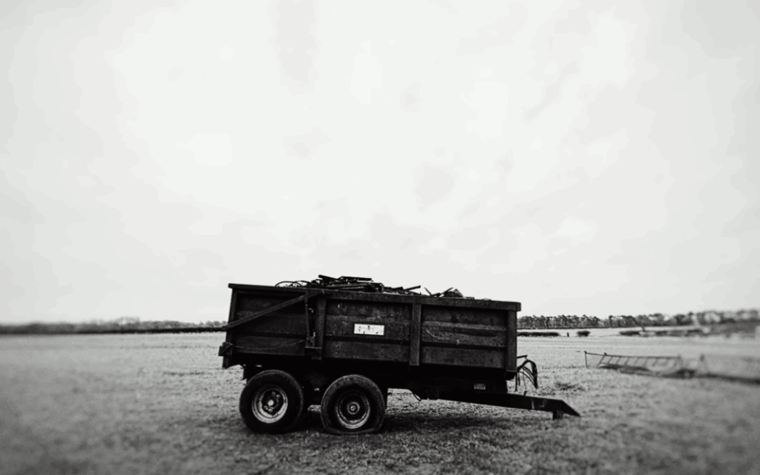 Video – September 2025